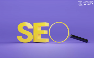 How to Correctly Setup Your SEO Work