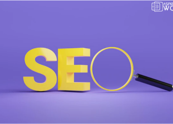 How to Correctly Setup Your SEO Work